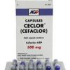 Ceclor 500 mg Cap