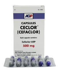 Ceclor 500 mg Cap