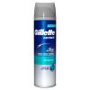 Gillette 200 Ml Series Gel Protection