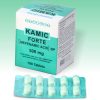 Kamic Forte 500mg Tab
