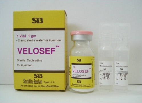 Velocef Inj 1gm