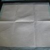 Dignity Sheet