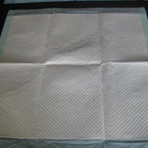 Dignity Sheet