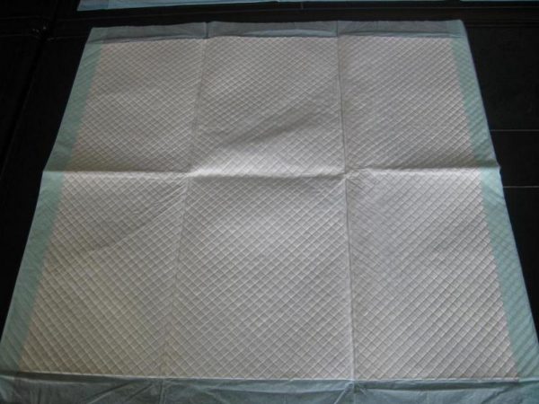Dignity Sheet
