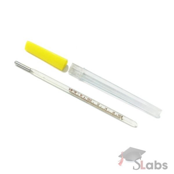 Thermometer Oral (Clinical)